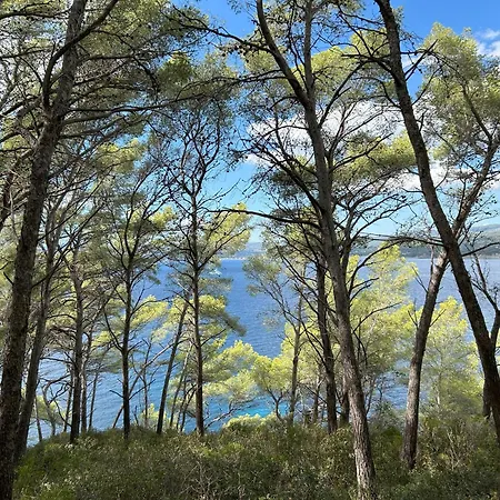 Appartement L'appart *